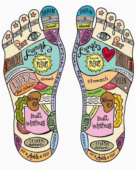 Happy feet reflexology - Happy Feet Reflexology Cork, Passage West. 744 likes · 5 talking about this · 38 were here. Happy Feet Reflexology offer foot reflexology, online and on-site guided reflexology workshops for private...